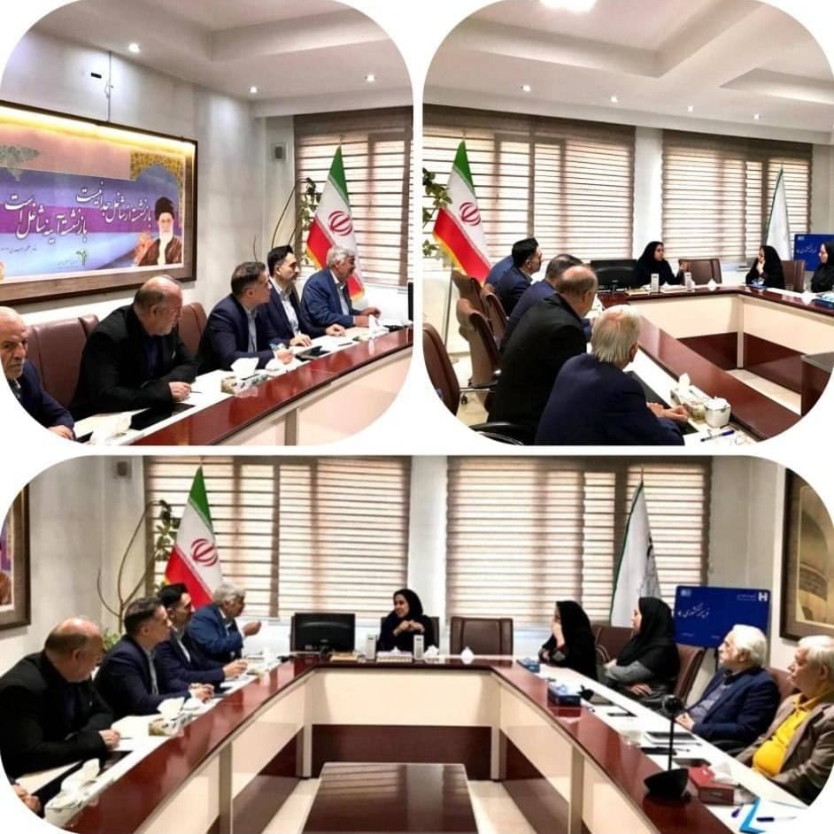 بیمه دی/بیمه نیوز